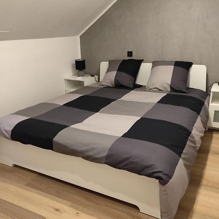 Le Business, Duplex Moderne Special Pro De Passage Lägenhet Sarreguemines Exteriör bild