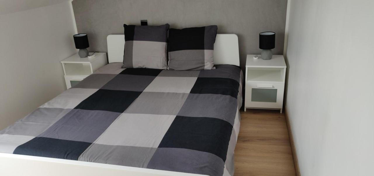 Le Business, Duplex Moderne Special Pro De Passage Lägenhet Sarreguemines Exteriör bild