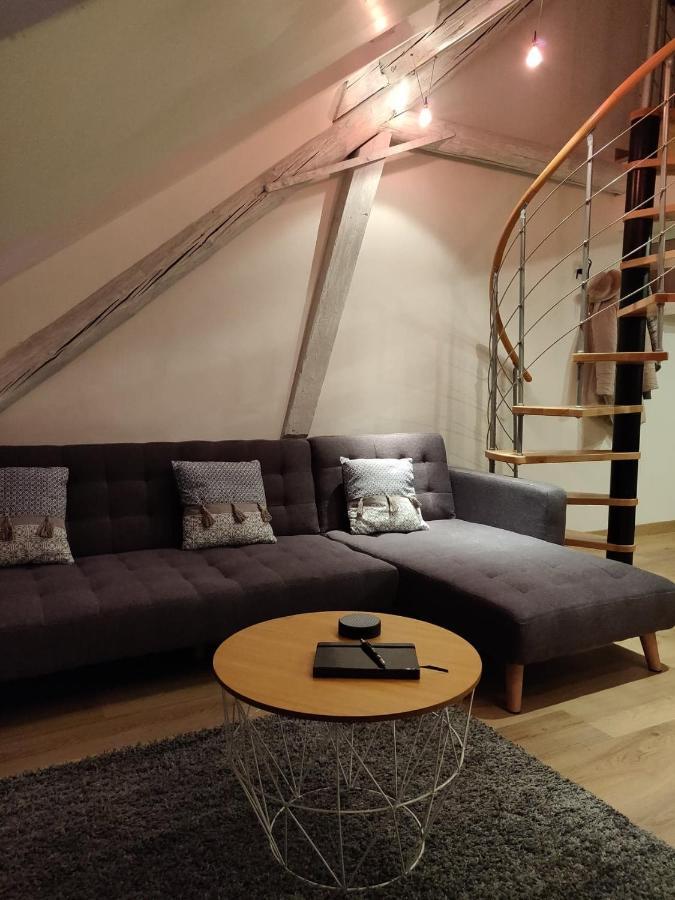 Le Business, Duplex Moderne Special Pro De Passage Lägenhet Sarreguemines Exteriör bild