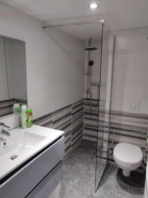 Le Business, Duplex Moderne Special Pro De Passage Lägenhet Sarreguemines Exteriör bild