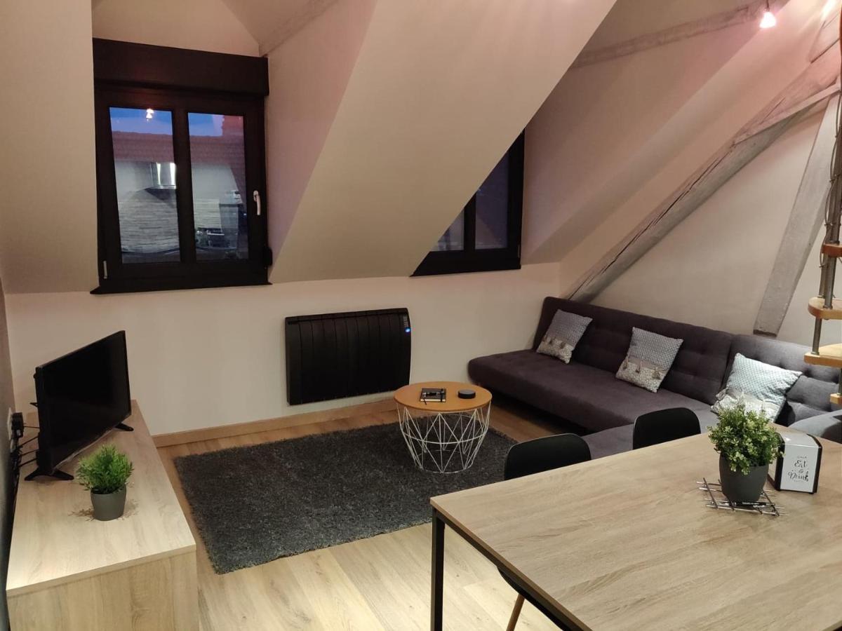 Le Business, Duplex Moderne Special Pro De Passage Lägenhet Sarreguemines Exteriör bild